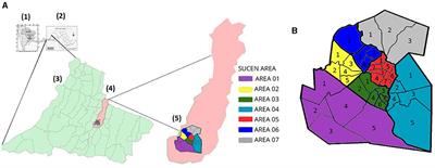 Impact of storm drains on the maintenance of dengue endemicity in Presidente Prudente, São Paulo, Brazil: a geospatial and epidemiologic approach